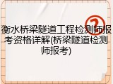 衡水桥梁隧道工程检测师报考资格详解(桥梁隧道检测师报考)