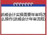 武威会计实操需要年审吗怎么操作(武威会计年审流程)