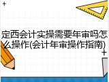 定西会计实操需要年审吗怎么操作(会计年审操作指南)