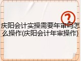 庆阳会计实操需要年审吗怎么操作(庆阳会计年审操作)