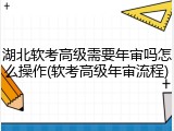 湖北软考高级需要年审吗怎么操作(软考高级年审流程)