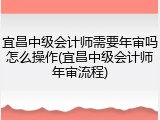 宜昌中级会计师需要年审吗怎么操作(宜昌中级会计师年审流程)
