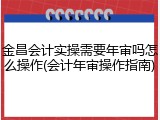金昌会计实操需要年审吗怎么操作(会计年审操作指南)