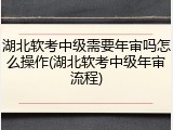 湖北软考中级需要年审吗怎么操作(湖北软考中级年审流程)