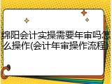 绵阳会计实操需要年审吗怎么操作(会计年审操作流程)