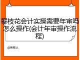 攀枝花会计实操需要年审吗怎么操作(会计年审操作流程)