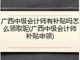 广西中级会计师有补贴吗怎么领取呢(广西中级会计师补贴申领)
