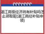 湛江高级经济师有补贴吗怎么领取呢(湛江高经补贴申领)