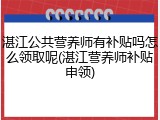 湛江公共营养师有补贴吗怎么领取呢(湛江营养师补贴申领)