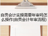 自贡会计实操需要年审吗怎么操作(自贡会计年审流程)