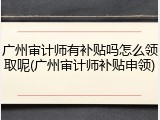 广州审计师有补贴吗怎么领取呢(广州审计师补贴申领)