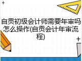 自贡初级会计师需要年审吗怎么操作(自贡会计年审流程)