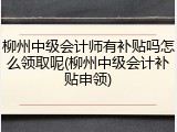柳州中级会计师有补贴吗怎么领取呢(柳州中级会计补贴申领)