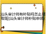 汕头审计师有补贴吗怎么领取呢(汕头审计师补贴申领)