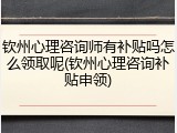 钦州心理咨询师有补贴吗怎么领取呢(钦州心理咨询补贴申领)