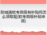 防城港软考高级有补贴吗怎么领取呢(软考高级补贴申领)