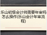 乐山初级会计师需要年审吗怎么操作(乐山会计年审流程)