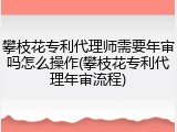 攀枝花专利代理师需要年审吗怎么操作(攀枝花专利代理年审流程)