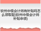 钦州中级会计师有补贴吗怎么领取呢(钦州中级会计师补贴申领)