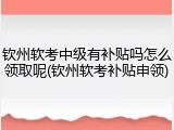 钦州软考中级有补贴吗怎么领取呢(钦州软考补贴申领)