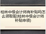 桂林中级会计师有补贴吗怎么领取呢(桂林中级会计师补贴申领)