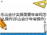 乐山会计实操需要年审吗怎么操作(乐山会计年审操作)