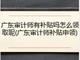 广东审计师有补贴吗怎么领取呢(广东审计师补贴申领)