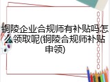 铜陵企业合规师有补贴吗怎么领取呢(铜陵合规师补贴申领)