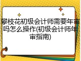 攀枝花初级会计师需要年审吗怎么操作(初级会计师年审指南)