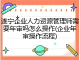 遂宁企业人力资源管理师需要年审吗怎么操作(企业年审操作流程)