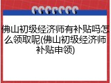 佛山初级经济师有补贴吗怎么领取呢(佛山初级经济师补贴申领)