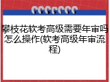 攀枝花软考高级需要年审吗怎么操作(软考高级年审流程)