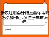 武汉注册会计师需要年审吗怎么操作(武汉注会年审流程)