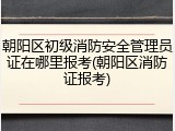 朝阳区初级消防安全管理员证在哪里报考(朝阳区消防证报考)