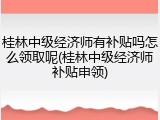 桂林中级经济师有补贴吗怎么领取呢(桂林中级经济师补贴申领)