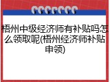 梧州中级经济师有补贴吗怎么领取呢(梧州经济师补贴申领)