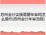 苏州会计实操需要年审吗怎么操作(苏州会计年审流程)