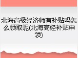 北海高级经济师有补贴吗怎么领取呢(北海高经补贴申领)