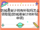 防城港审计师有补贴吗怎么领取呢(防城港审计师补贴申领)