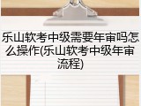 乐山软考中级需要年审吗怎么操作(乐山软考中级年审流程)