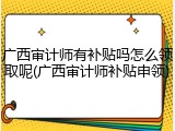 广西审计师有补贴吗怎么领取呢(广西审计师补贴申领)